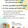 Ukázková lekce GoKids English pro děti 3-6let